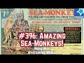 The Amazing Sea Monkeys! - Jimmy Akin's Mysterious World Mp3 Song