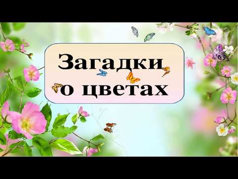 Загадки про цветы для детей! Загадки про цветы для детей!