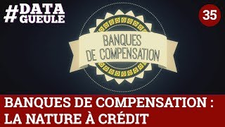 Banques de compensation : la Nature à crédit #DATAGUEULE 35