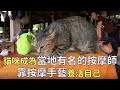The Hardworking Cat Technician Who Supports Himself With His Massage Skills Has Earned Consiste The Hardworking Cat Technician Who Supports Himself With His Massage Skills Has Earned Consiste