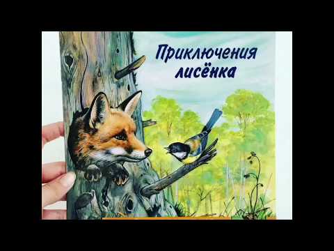 Видеообзор книги Приключения лисёнка