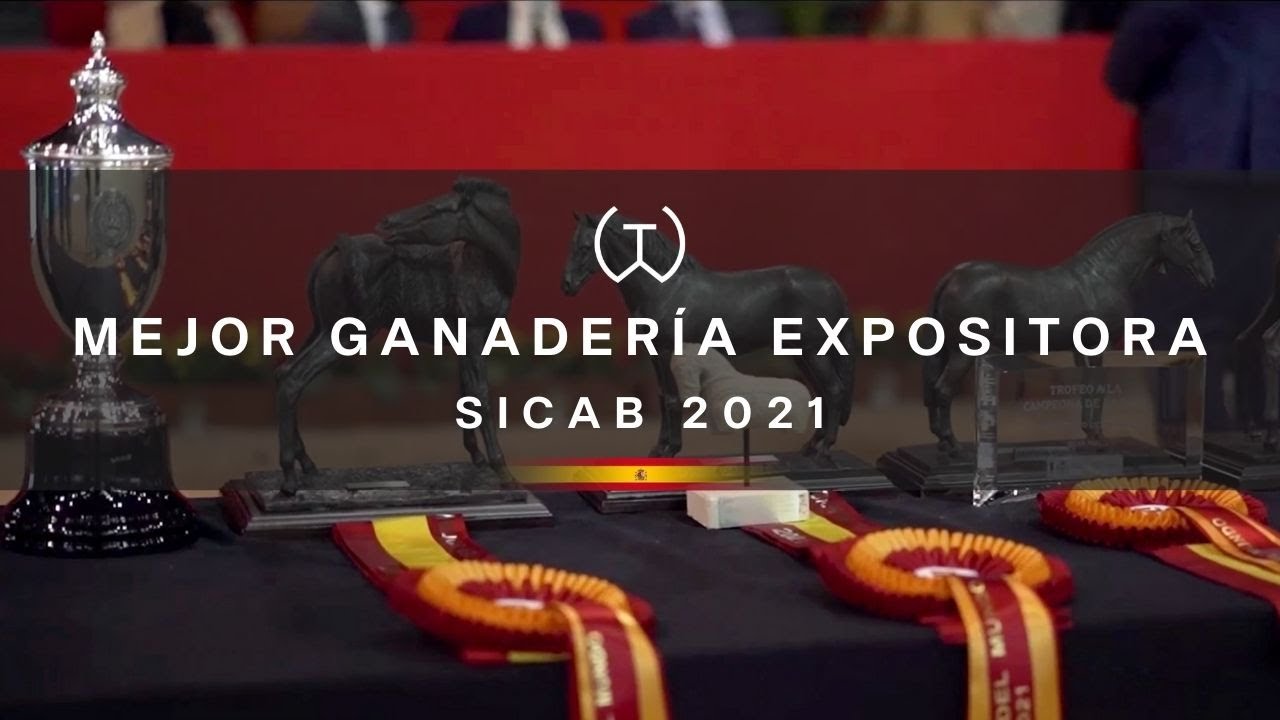 Download Mejor Ganadería Expositora | SICAB 2021 Yeguada Torreluna
