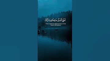"تلاوة هادئة من سورة المؤمنون تُريح القلب وتُجلي الروح" بصوت رخيم فائق الجمال  #اكسبلور allahquran#
