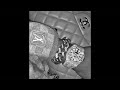 (Free) Bigwalkdog Type Beat- " Out Workin "
