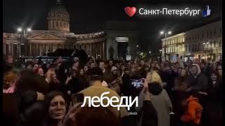 картинка: Лебеди СПБ - Пусть танцуют лебеди