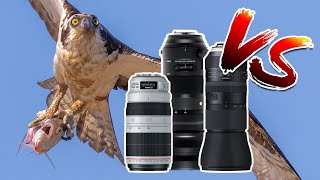 SUPER-TELEPHOTO SHOWDOWN! TAMRON VS. CANON VS. SIGMA!!!