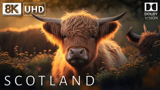 Scotland 🏴󠁧󠁢󠁳󠁣󠁴󠁿 8K Video Ultra Hd [60Fps] Dolby Vision | Scotland 8K Hdr