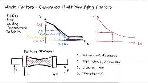 Marin Factors for ENDURANCE LIMITS in Just Over 10 Minutes!
