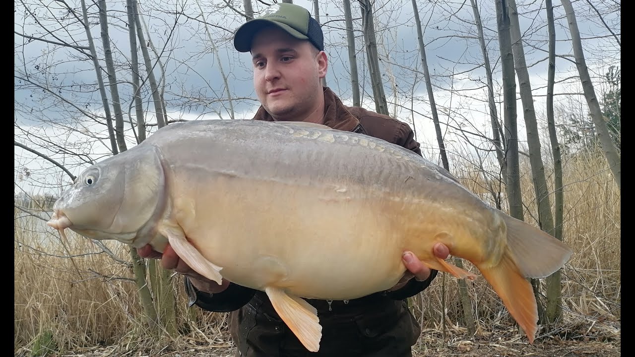 Jezero za Valem, duben 2022,  lov kapra