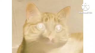 Shortest Video On Youtube Parts 1-100 In G Major 123