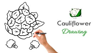 How to draw a cauli flower easy step by step | Cauli flower drawing step by step