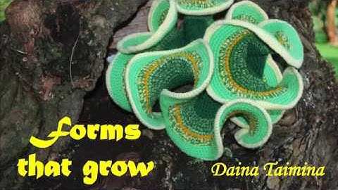 Daina Taimina at On Growth and Form 100 years in Amsterdam