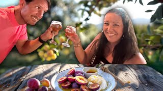 From Tree To Table: Quick & Easy Greek Garden Treats