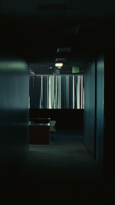 BIRDS OF A FEATHER VIDEO 8AM PT TOMORROW