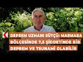 Deprem Uzmanı Sütçü: Marmara bölgesinde 7,5 şiddetinde bir deprem ve Tsunami olabilir