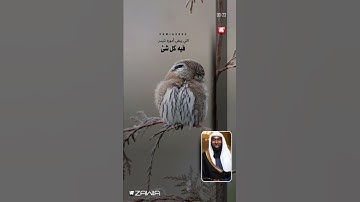 القرآن الكريم | بدر المشاري