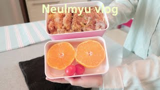 ENG) VLOG Lunch Box🍱 | Person Living Alone in Korea (Seaweed Chips Pasta, Chicken Rice Bowl)