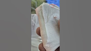 Breaking rocks ☺️ #dtuneoutdoors #outdoorsman #flintknapper #stone #flintknapping #chert #sharp