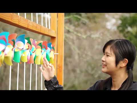 SHIBATALK菊まつり編(宮城県柴田町) [Japan countryside rural walking in Shibata Town, Miyagi Prefecture］