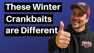 Best Crankbait for Winter Bass Fishing |  Cold Water Crankbaits for Bass Fishing