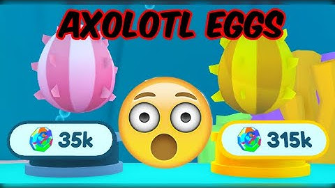 Unlocking The Hacker Portal in Pet Simulator X!