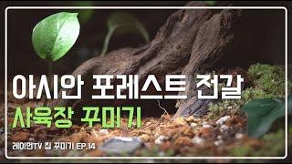 아시안 포레스트 전갈 사육장 꾸미기 | 레이먼TV 집 꾸미기 EP.14