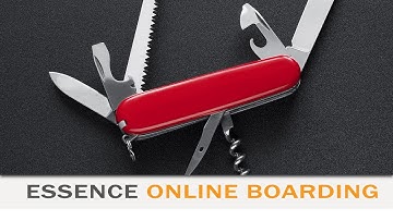 Silver Essence Online Boarding 04/12: BaseEntities & LookUps