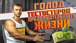 Голод. Тестостерон. Продолжительность жизни.