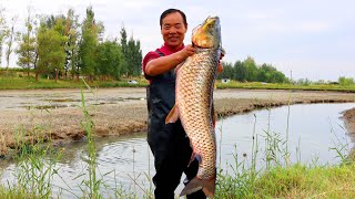 видео: Огромный карп, пойманный прямо из пруда! Лучшее блюдо из рыбы, тушенной с тофу| Дядя Сельский Гурман картинка: Огромный карп, пойманный прямо из пруда! Лучшее блюдо из рыбы, тушенной с тофу| Дядя Сельский Гурман