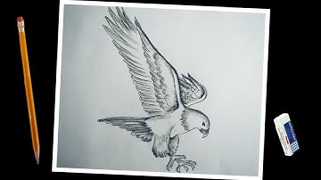 How to draw a flying Eagle step by step easy… Flying Eagle drawing easy step by step…#drawing