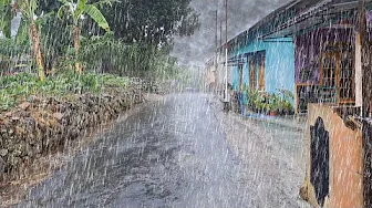 WALKING IN THE POURING RAIN AT THE EDGE OF A RURAL RICE FIELD