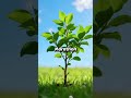 Start With 1 Habit to Live Longer | Body Of Health Essentials #shorts