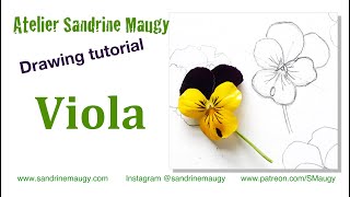 Botanical Art Tutorial - Drawing a Viola/Pansy with Sandrine Maugy