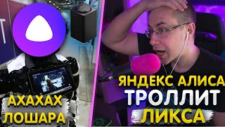 Яндекс Алиса ТРОЛИТ ЛИКСА
