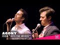 Agony - Into the Woods Cover (feat. Joey Richter &amp; Curt Mega)