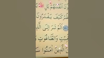 سورة النساء الأية 49 إلى 51 القارئ سعد الغامدي