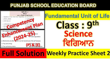 pseb competency based paper class 9th science worksheet 2 test 2024