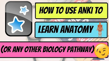 The BEST way to Learn Anatomy in Medical School!! (Anki Image Occlusion)