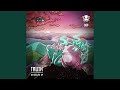 Miniature de la vidéo de la chanson Shire Dub