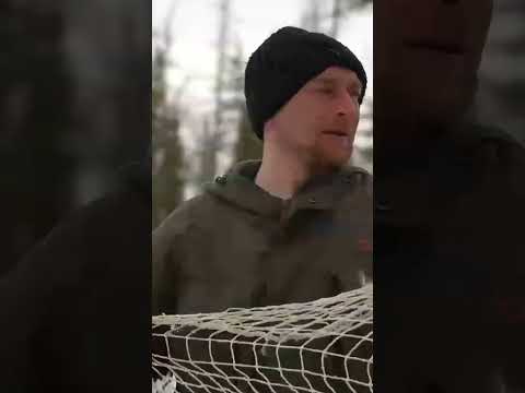 🤔 Загон для оленей. Работа оленеводов в тундре #ямал #крайнийсевер