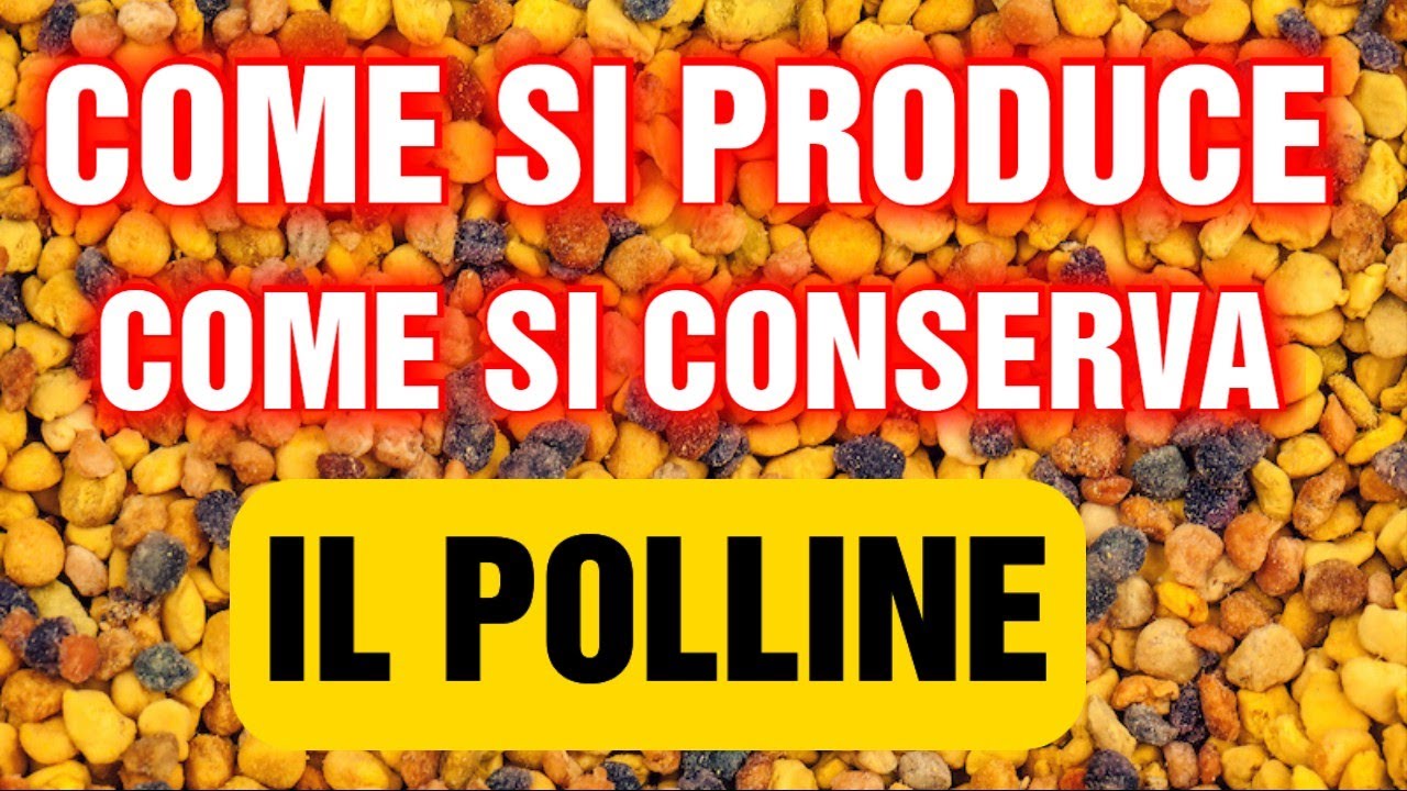 Apicoltura CD: Seminario sul polline, impariamo a produrlo e conservarlo