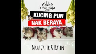 KUCING PUN NAK RAYA