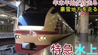 【年末年始限定‼️】『臨時特急水上』上野駅15番線を発着するE653系国鉄色K70編成