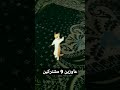 ولد يا ولد يا عرباوي