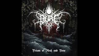 Pure - A Life That's Now Forever Dimmed