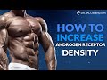 How To Increase Androgen Receptor Density (And Increase Your Hormone Production)