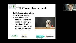 TEFL Webinar part 2