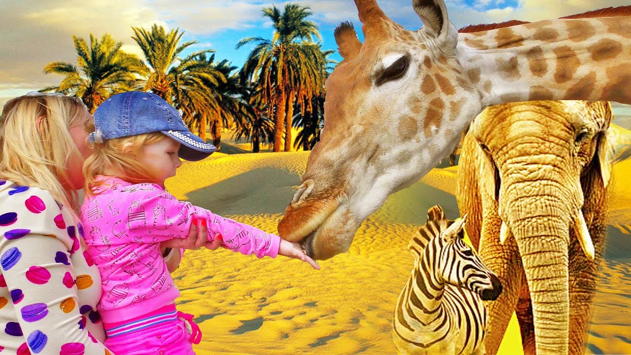 Fun With Animals Animal video Giraffe! Funny Baby vs ZOO ANIMALS are WAY FUNNIER! TRY ...