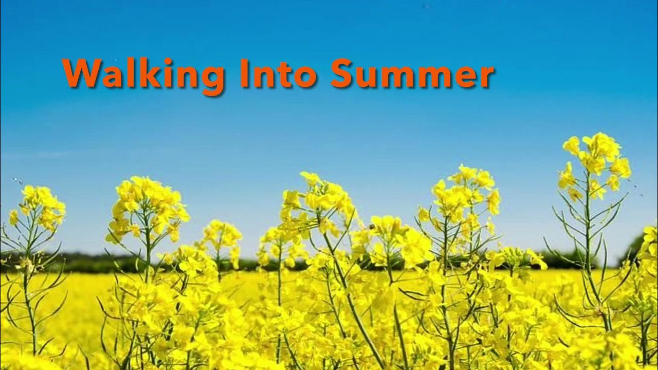 Oilseed Rape Field free image download