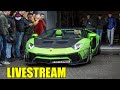 BEST Car Sounds | Livestream